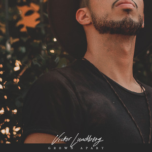 一键消衣网址免费入口
